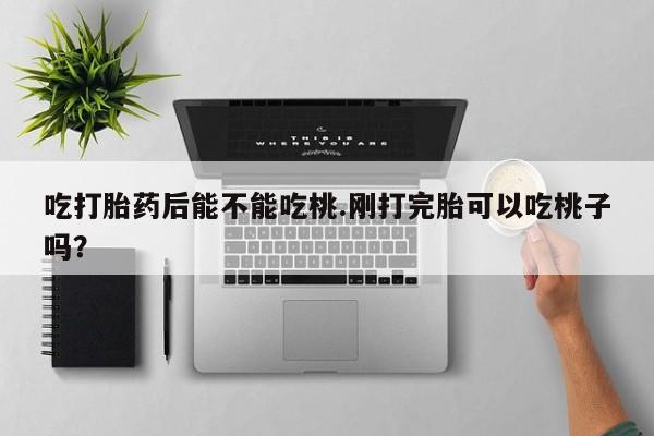 私人卖打胎药微信号，吃打胎药后能不能吃桃.刚打完胎可以吃桃子吗？